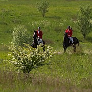 div fra hedeland